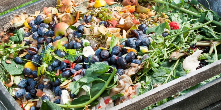 Hvad er anaerob kompost og anaerob nedbrydning?